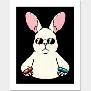 Follow The White Rabbit Pocket by Tobe Fonseca Posters and Art